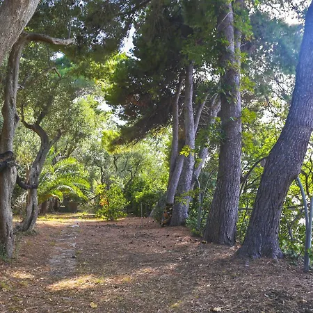 Accesso Privato Al Mare *
